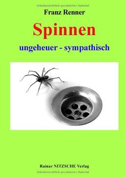 Spinnen ungeheuer - sympathisch