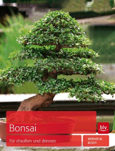 Bonsai: Für draußen und drinnen