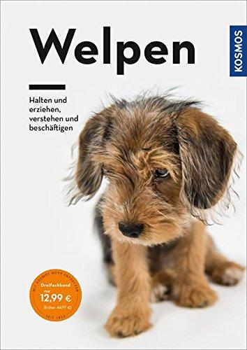 Welpen: Halten und erziehen, verstehen und beschäftigen