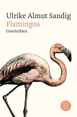 Flamingos: Geschichten