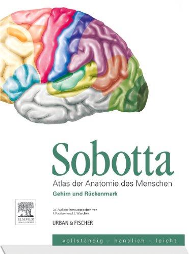 Sobotta, Atlas der Anatomie des Menschen  Heft 9: Gehirn und Rückenmark