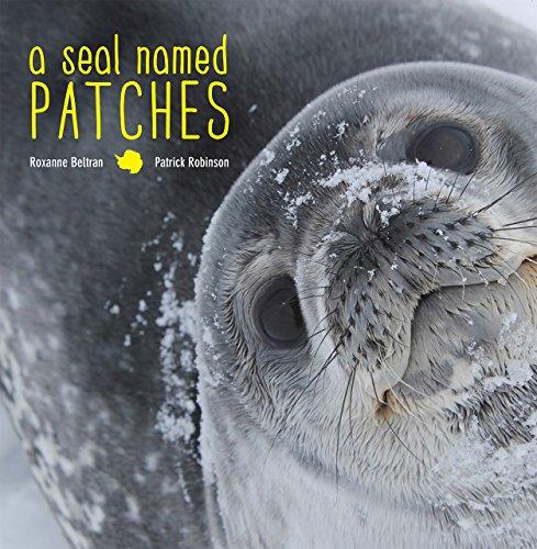 Seal Named Patches