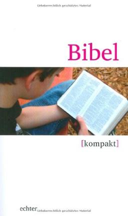 Bibel kompakt