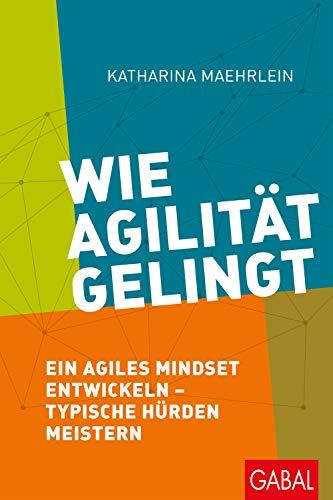 Wie Agilität gelingt: Ein agiles Mindset entwickeln – typische Hürden meistern (Dein Business)