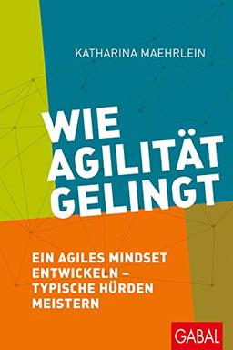 Wie Agilität gelingt: Ein agiles Mindset entwickeln – typische Hürden meistern (Dein Business)