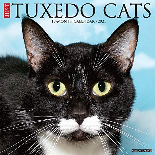 Just Tuxedo Cats 2021 Calendar