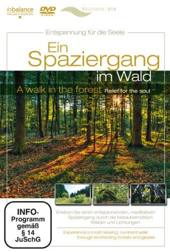 Ein Spaziergang im Wald