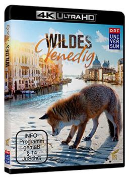 Wildes Venedig  (4K Ultra HD) [Blu-ray]