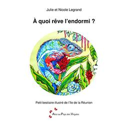 À quoi rêve l'endormi?