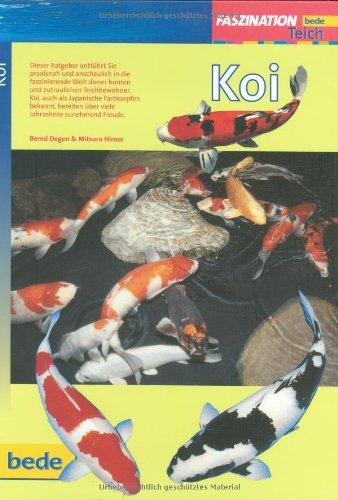 Koi, Faszination