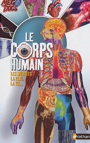 Le corps humain : les muscles, la peau, la vie...