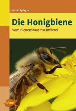 Die Honigbiene - Vom Bienenstaat zur Imkerei