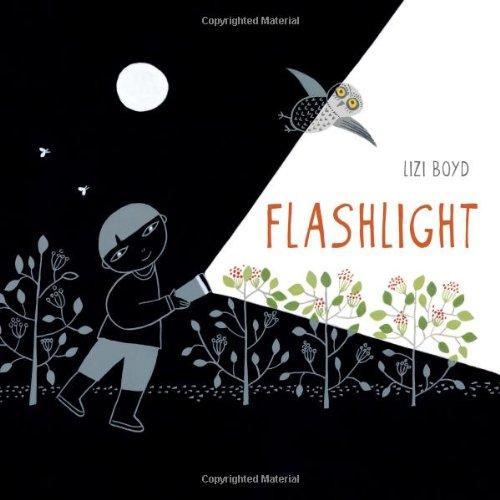 Flashlight (Junior Library Guild Selection)