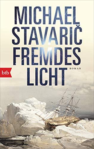 Fremdes Licht: Roman