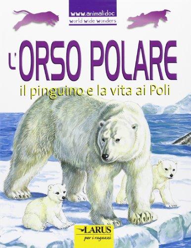 L'orso polare