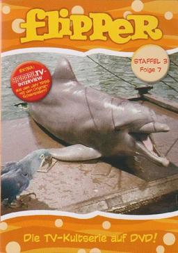 Flipper - Staffel 3, Folge 7