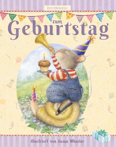 Zum Geburtstag: Alles für eine gelungene Geburtstagsfeier (Holly Pond Hill, Band 6)