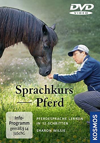 Sprachkurs Pferd: Pferdesprache lernen in 12 Schritten