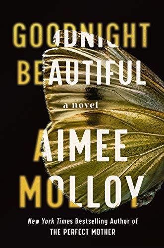 Goodnight Beautiful: A Novel