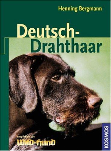 Deutsch-Drahthaar