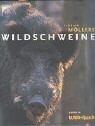 Wildschweine