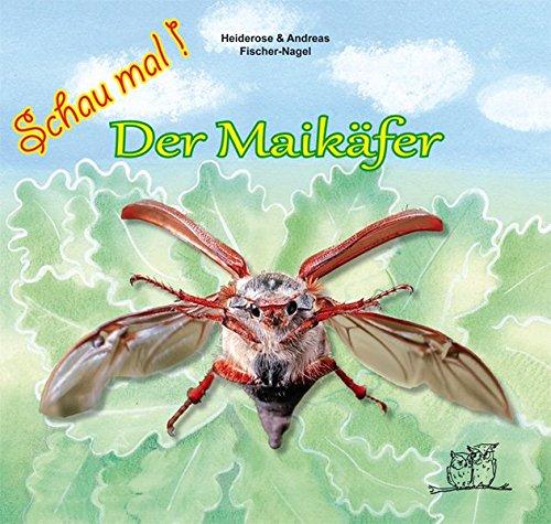 Der Maikäfer (Schau mal!)