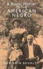 A Social History of the American Negro