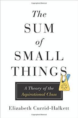 Sum of Small Things: A Theory of the Aspirational Class