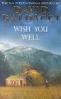 Wish You Well (Roman)