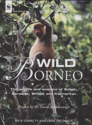 Wild Borneo: The Wildlife and Scenery of Sabah,Sarawak, Brunei and Kallmantan