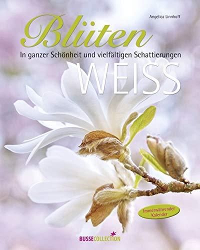 Blütenweiß: In ganzer Schönheit und vielfältigen Schattierungen