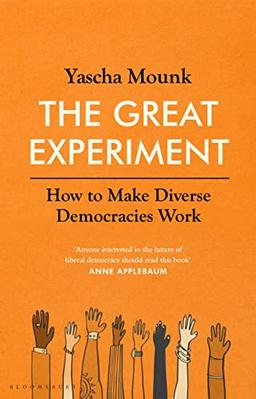 The Great Experiment: How to Make Diverse Democracies Work