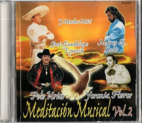 Meditacion Musical Vol. Ii