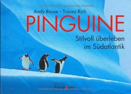 Pinguine: Stilvoll überleben im Südatlantik