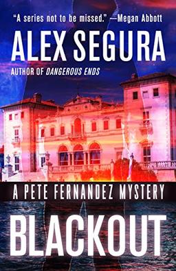 Blackout: A Pete Fernandez Mystery (Pete Fernandez Mysteries, Band 4)