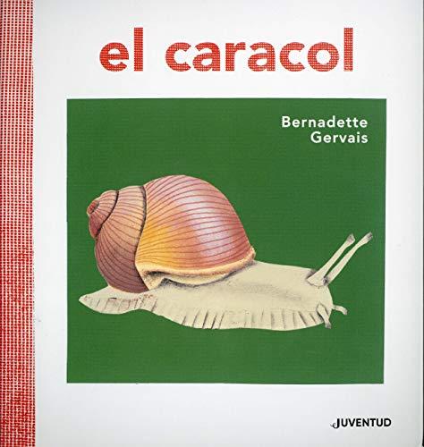 El Caracol (Conocer y Comprender)