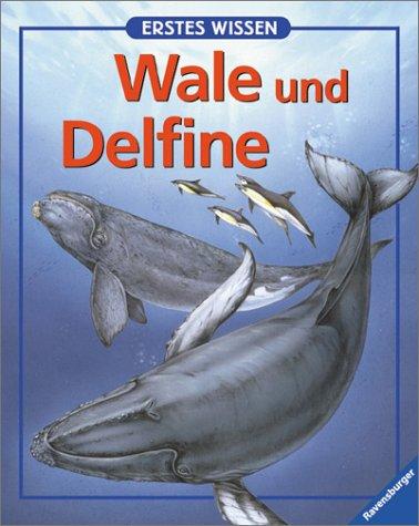 Erstes Wissen, Wale und Delfine