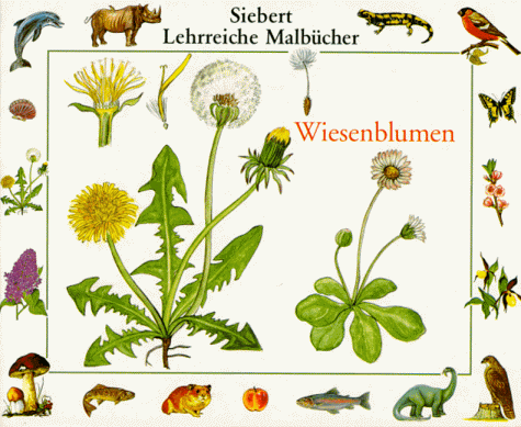 Wiesenblumen