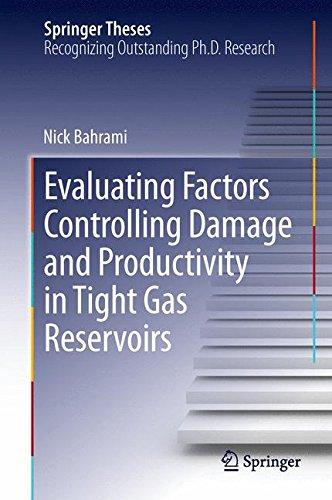 Evaluating Factors Controlling Damage and Productivity in Tight Gas Reservoirs (Springer Theses)