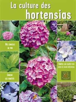 Hortensias