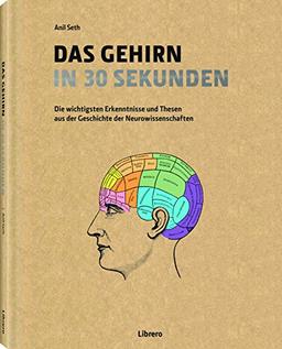 Das Gehirn in 30 Sekunden: Die erstaunlichsten Theorien der Neurowissenschaften in 30 Sekunden