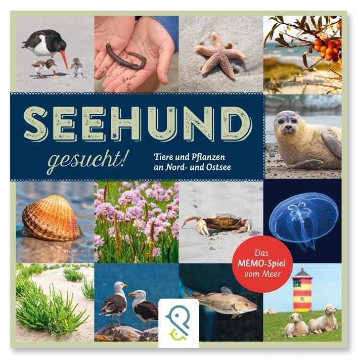 Seehund gesucht!: Das Memo-Spiel vom Meer