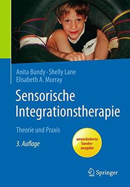 Sensorische Integrationstherapie: Theorie und Praxis