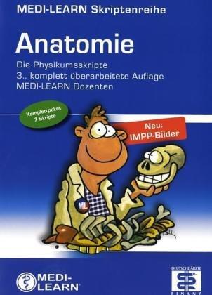 Anatomie