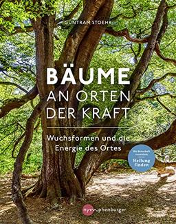 Bäume an Orten der Kraft: Wuchsformen und die Energie des Ortes