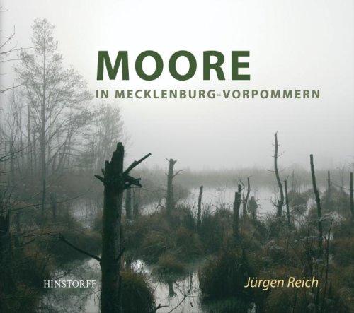 Moore in Mecklenburg-Vorpommern: Ein stiller Schatz