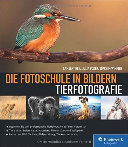 Die Fotoschule in Bildern. Tierfotografie