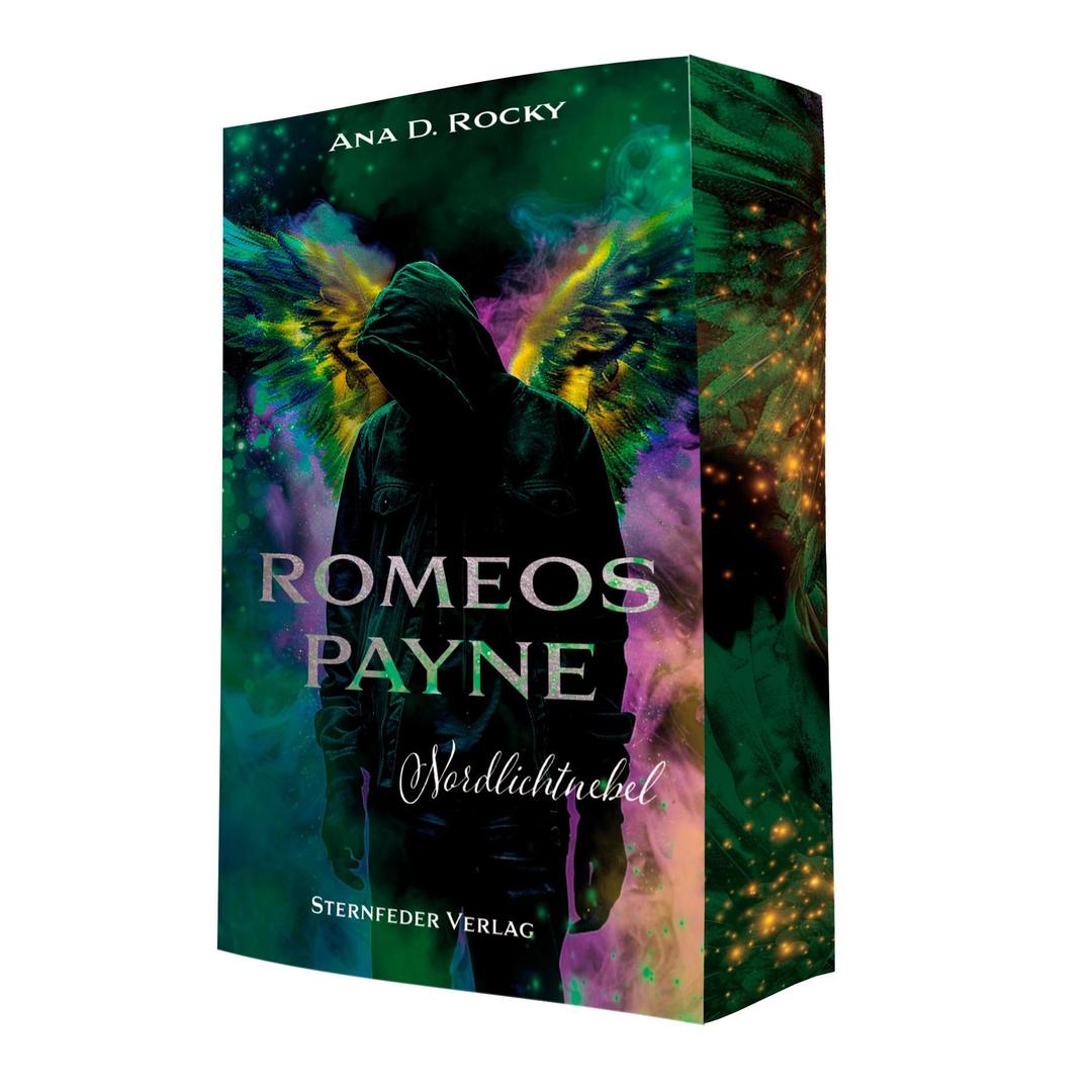 Romeos Payne 2: Nordlichtnebel (Romeos Payne Reihe)