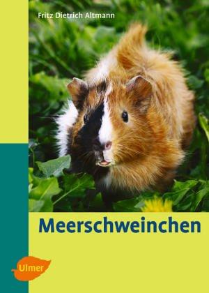 Meerschweinchen. Heimtiere halten