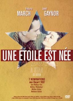 Une étoile est née [FR Import]